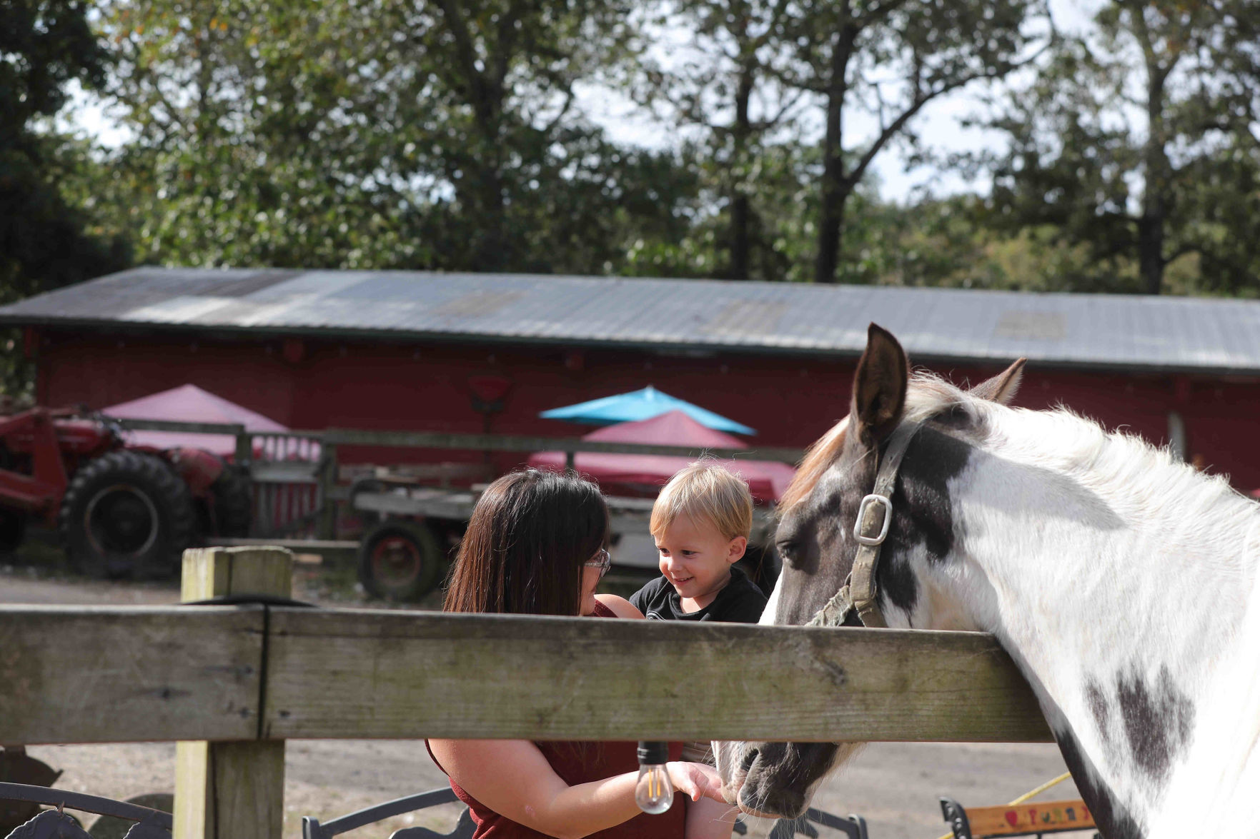 Funny Farm Rescue & Sanctuary